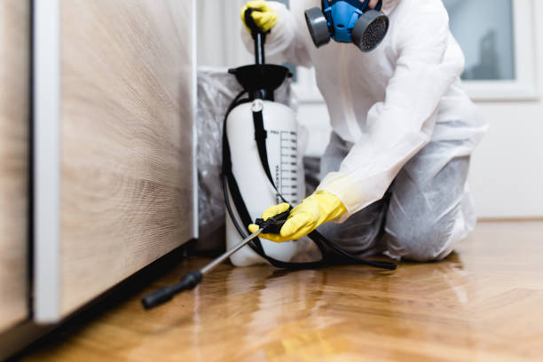 Reliable Gridley, IL Pest Control Solutions