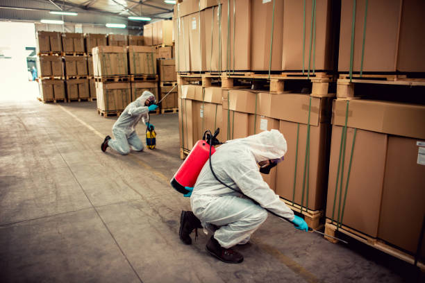 Best Residential Pest Control  in Gridley, IL