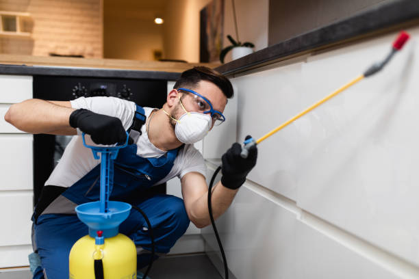 Best Affordable Pest Control Services  in Gridley, IL