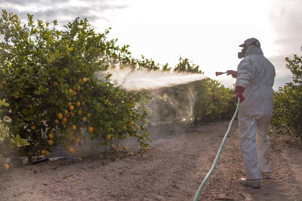 Best Mosquito Control Services  in Gridley, IL