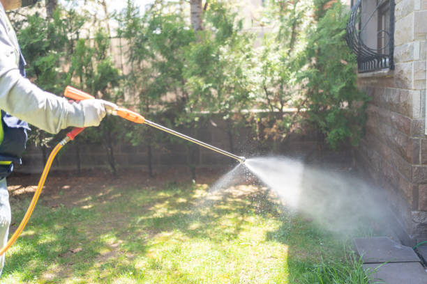 Flea Control Services in Gridley, IL