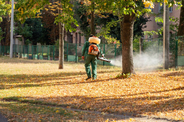 Best Best Pest Control Companies  in Gridley, IL