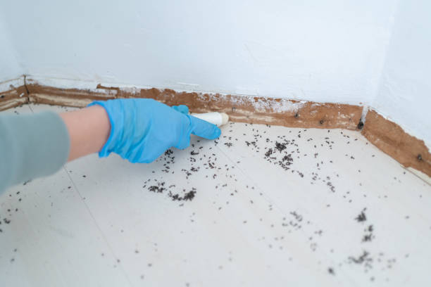 Pest Control for Restaurants in Gridley, IL