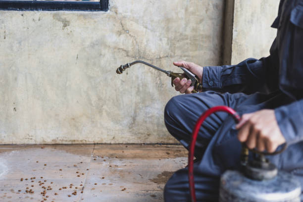 Best Flea Control Services  in Gridley, IL
